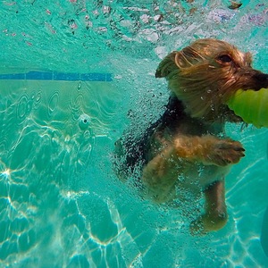 Living His Best Life