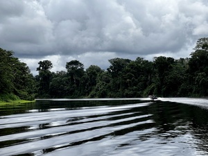 Cruisin in the Amazon
