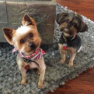 Head Tilt to Perfection