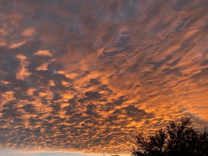 Texas Sunrise