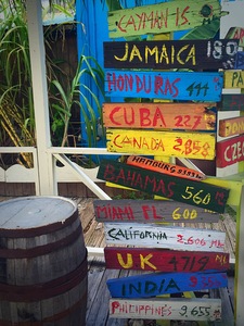 Island Life
