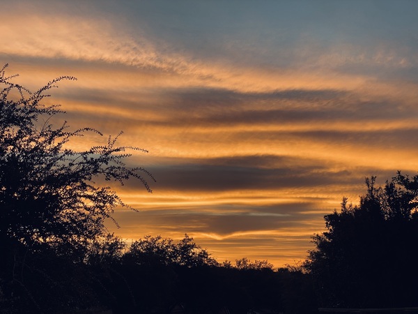 Texas Sunset Print