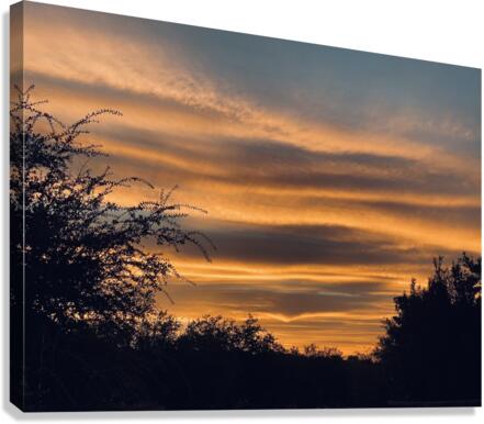Texas Sunset Canvas Print