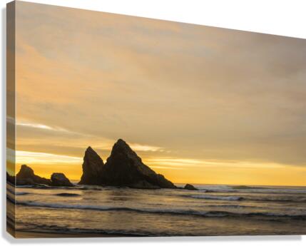 Topocalma Point Break Canvas Print