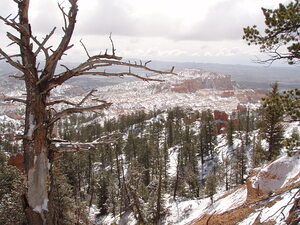 Bryce Canyon 4