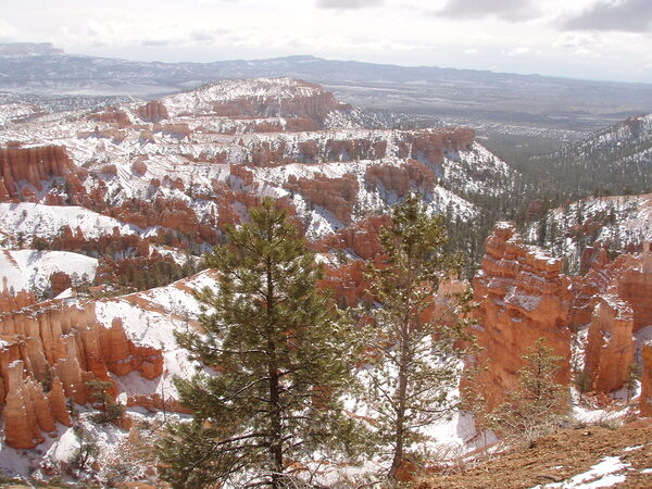 Bryce Canyon 7 Print