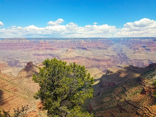 Grand Canyon 1 Print