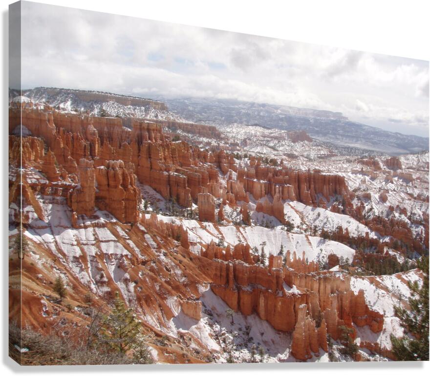 Bryce Canyon 5 Canvas Print