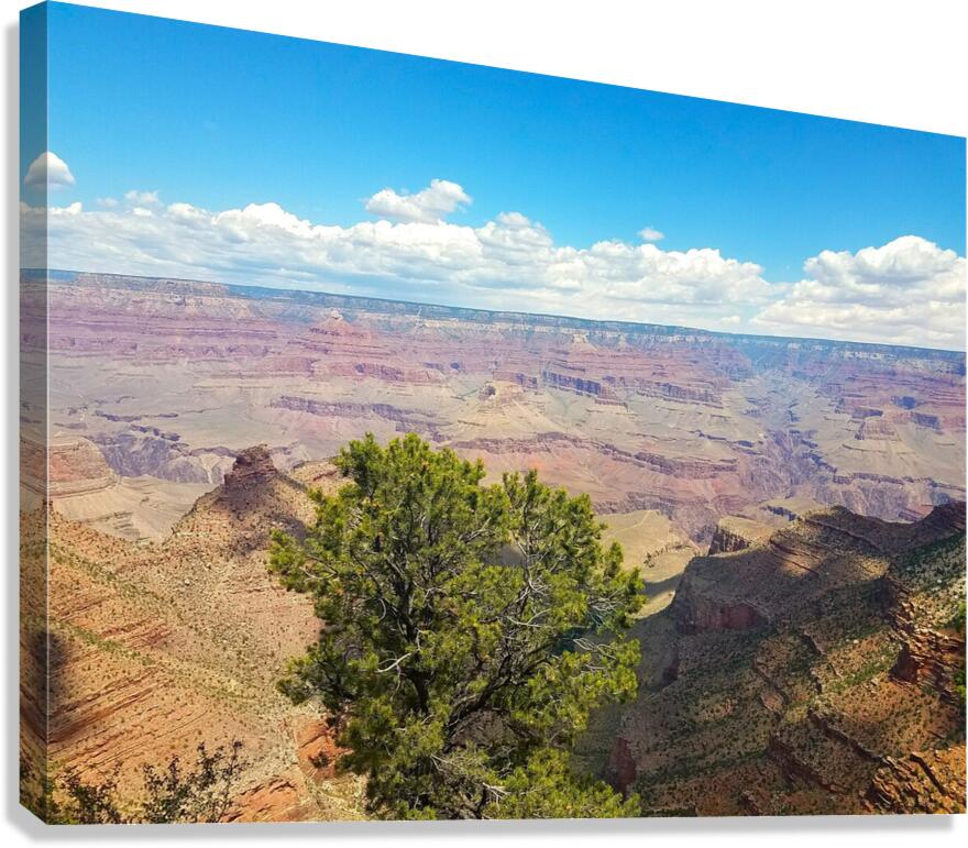 Grand Canyon 1 Canvas Print
