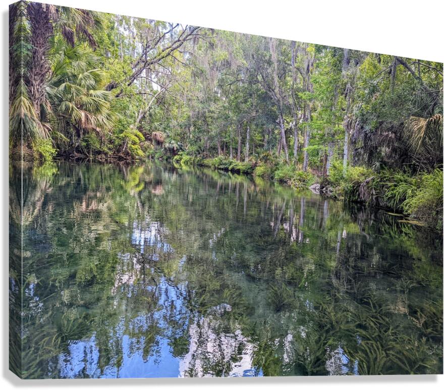 Silver Springs Canvas Print