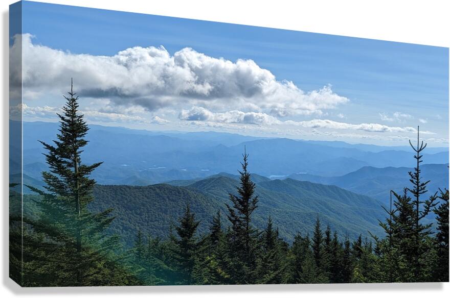 Smokey Mountains 2 Canvas Print