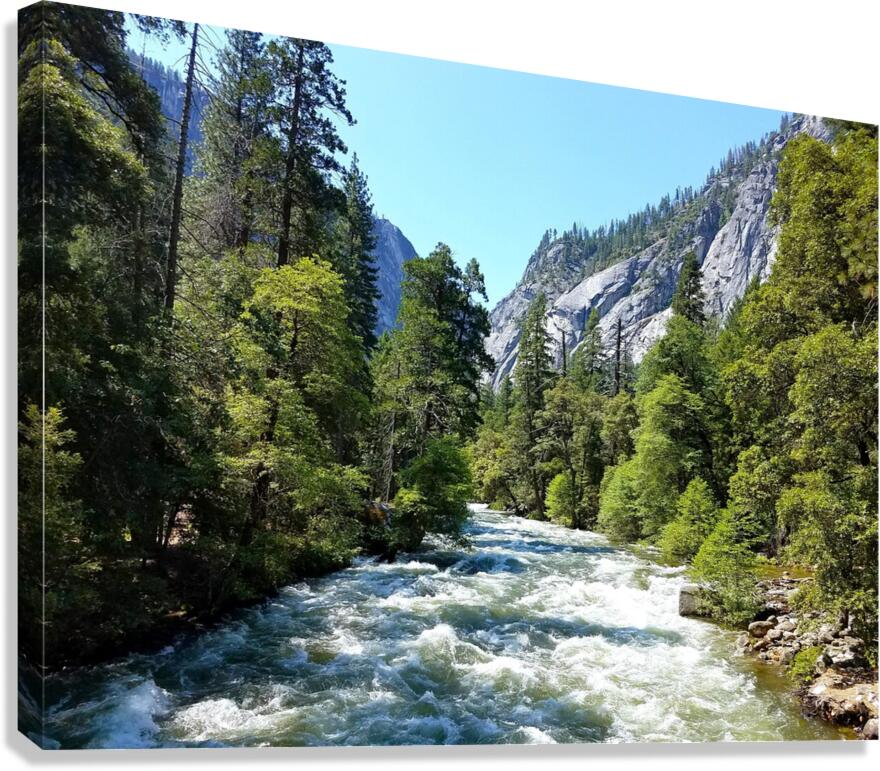 Yosemite 2 Canvas Print