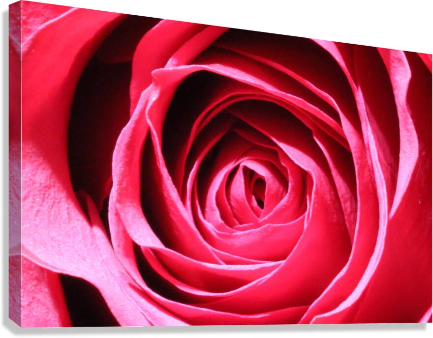 IMG 0190 Canvas Print