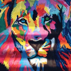 Vision with Continuation