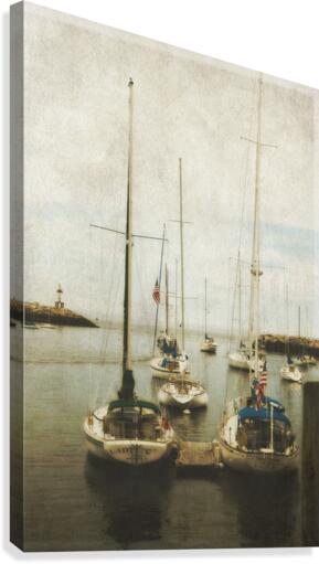 Lying in Wait  Canvas Print