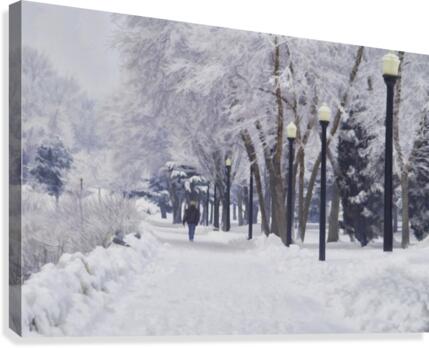 Winter Walk  Canvas Print