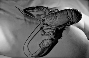 Lobster Ass