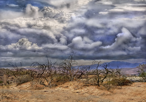 Mojave Storm