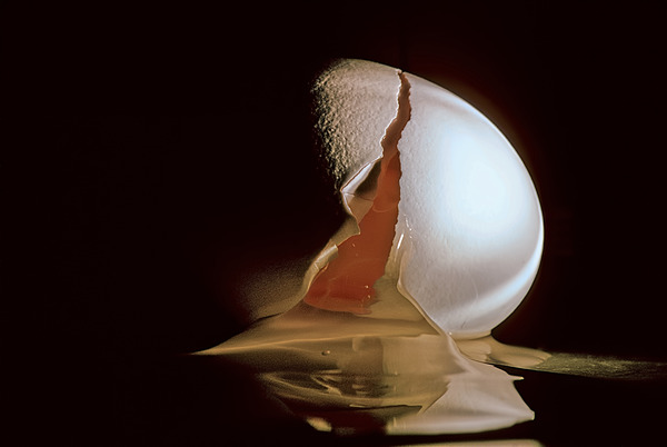 Cracked Egg Print