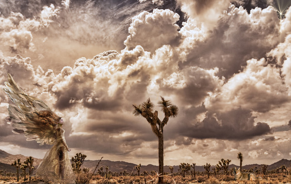 Handfull of Rain Print