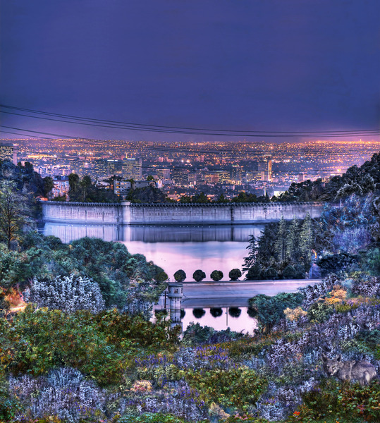 Hollywood Reservoir Print