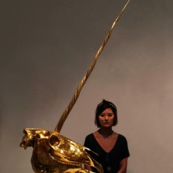 Contemplating A Unicorn