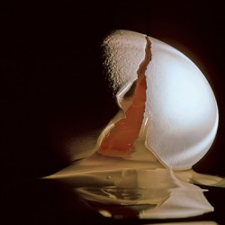 Cracked Egg
