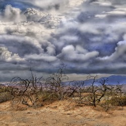 Mojave Storm