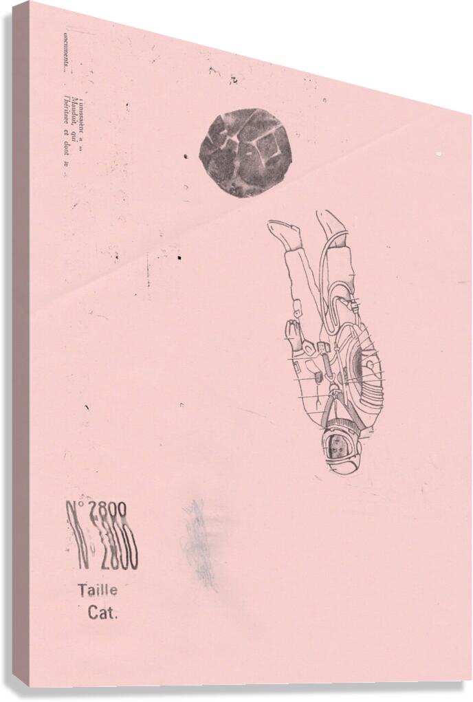 smallplanet Canvas Print