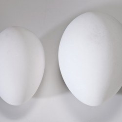 2Eggs