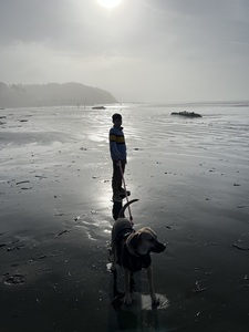 IMG 0442