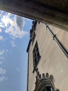 IMG 3549