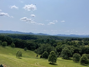 IMG 3551