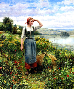 A Field of Flowers_OSG