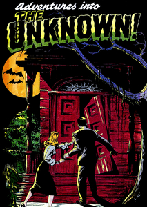 Adventures The Haunted House 