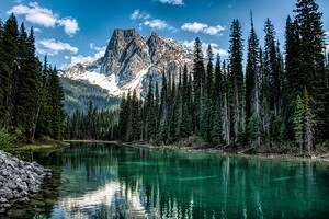 Columbia Shuswap Canada