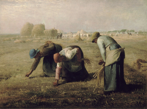 The Farmers