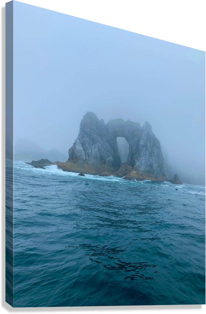 Island Canvas Print