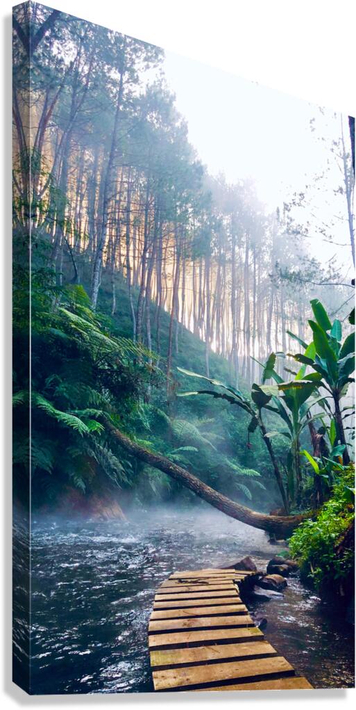 Jungle River Canvas Print
