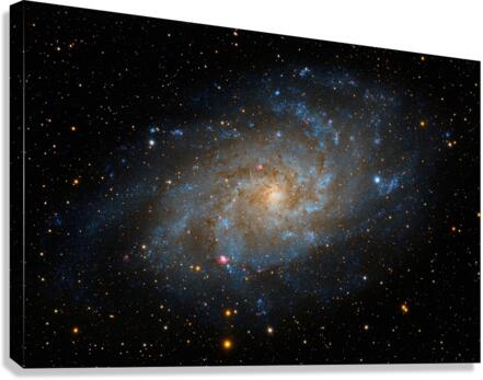 Andromeda Galaxy  Canvas Print