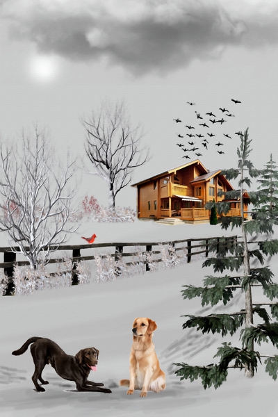 Labrador Retrievers Winter Snow by David Dehner