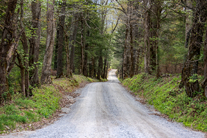 The Road Less Traveled