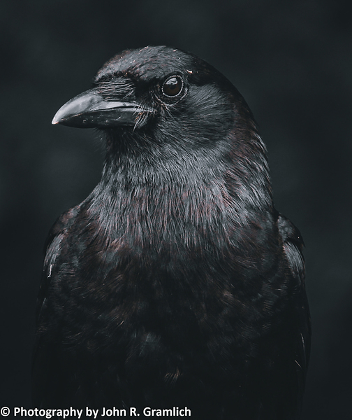 Hello Darkness my old Friend Print