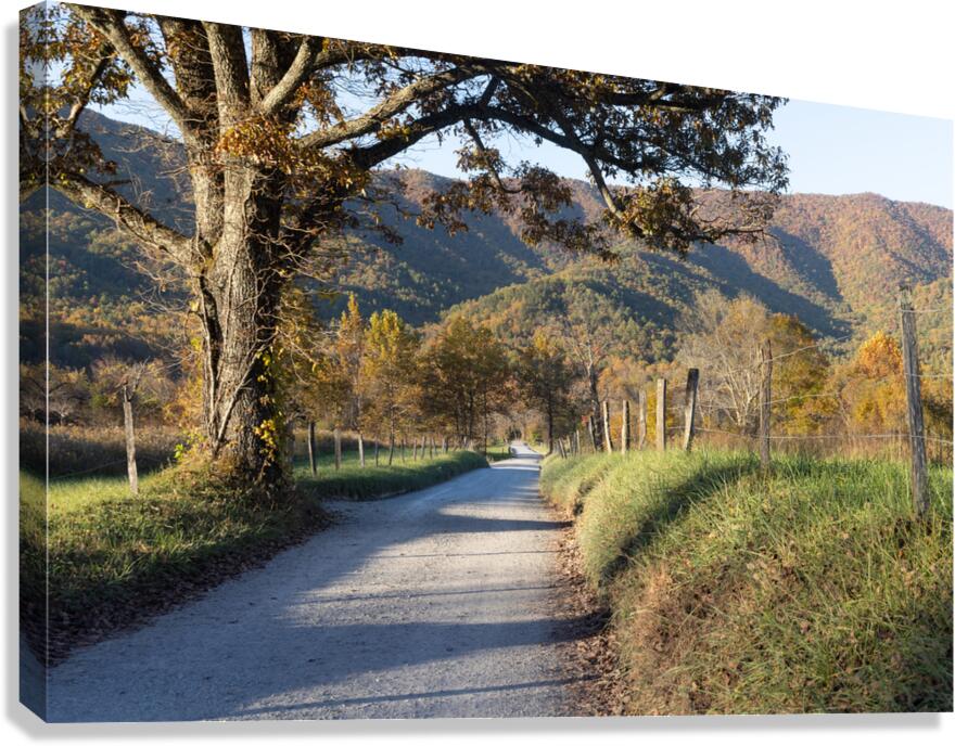Memory Lane Canvas Print