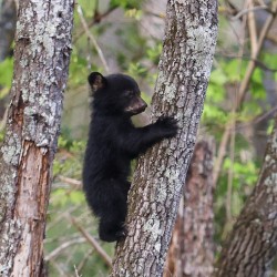 Hangin Out
