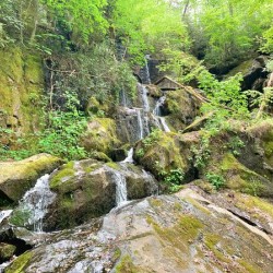 Mini Waterfall on Roaring Fork