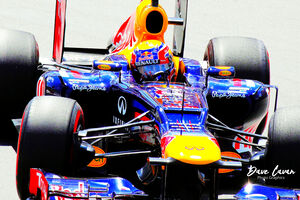 Professional At Work - Mark Webber