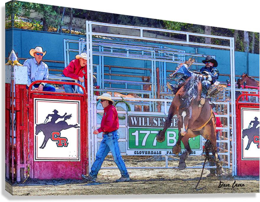 8 Seconds to Success Canvas Print