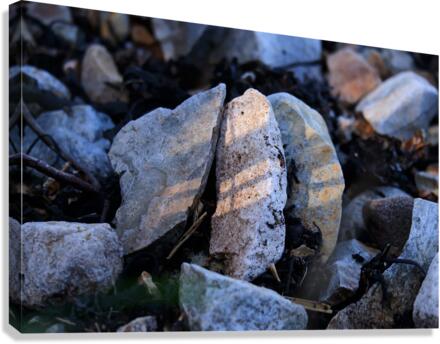 Stones 1 Canvas Print