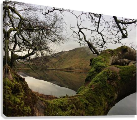 IRE 5 Canvas Print